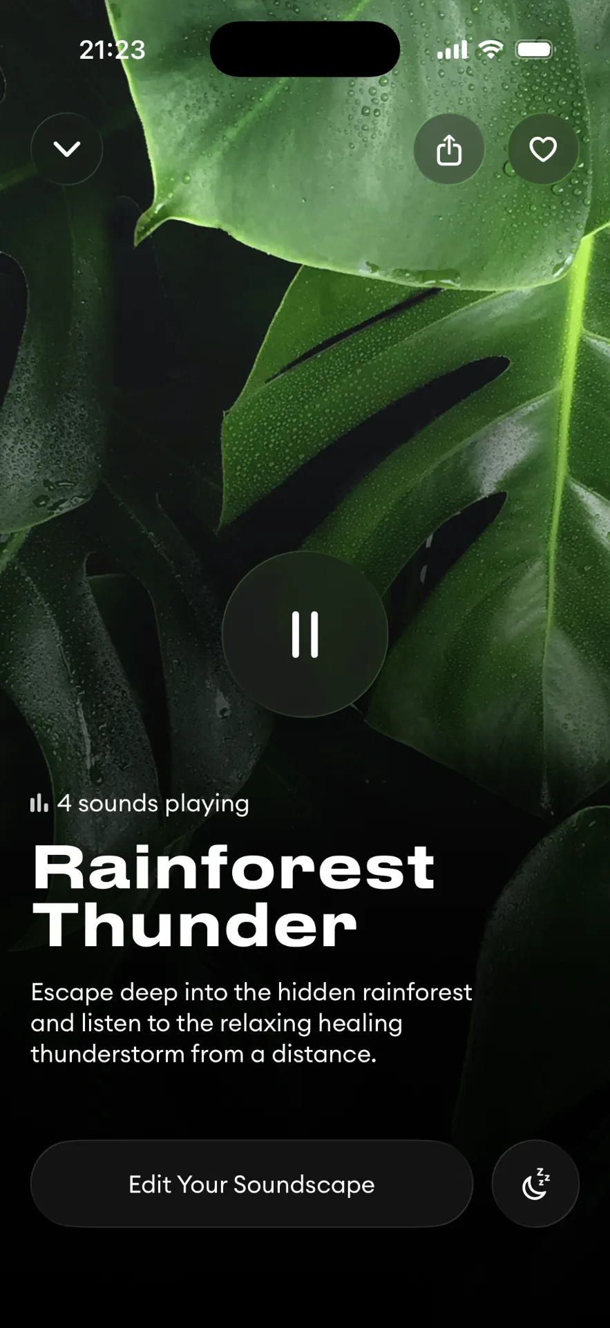 Rainforest Thunder soundscape screen