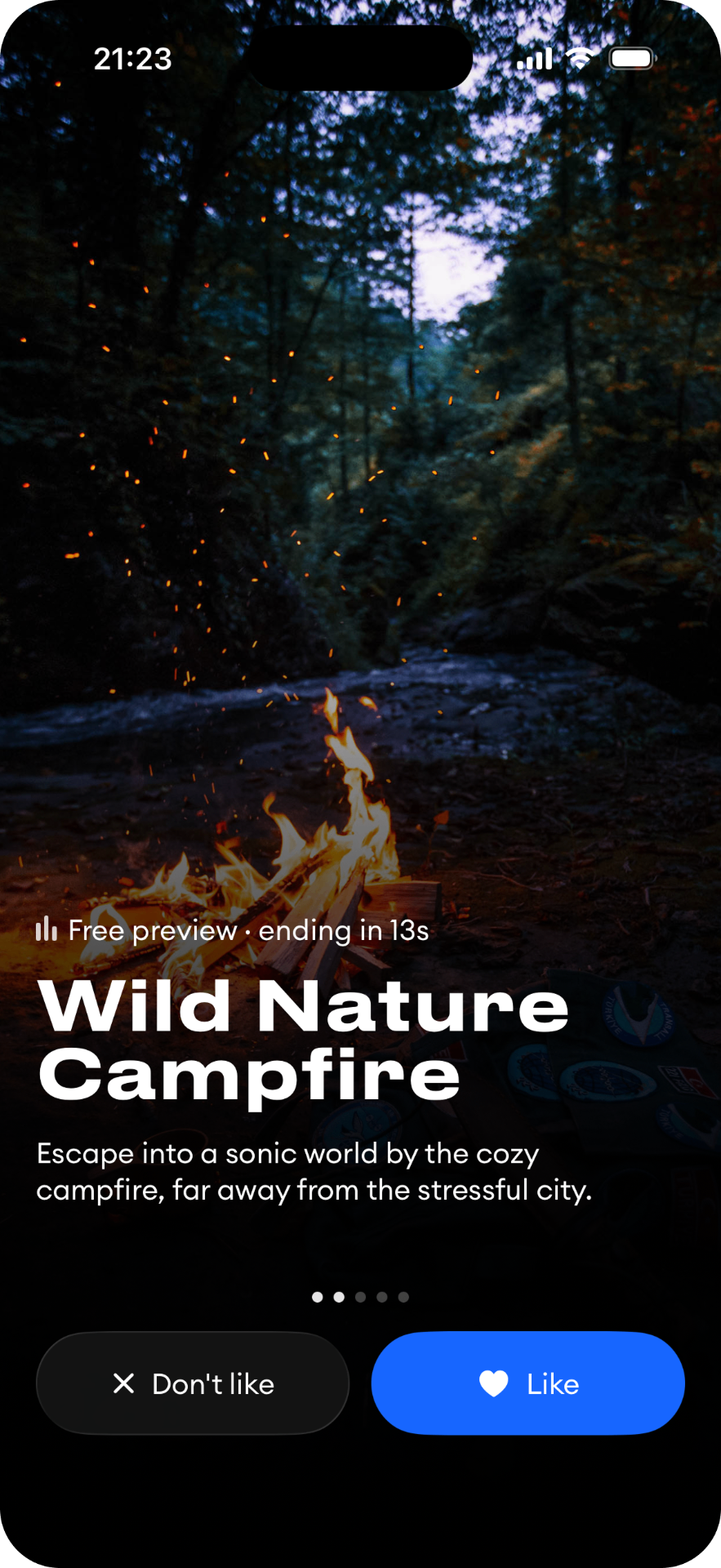 Wild Nature Campfire soundscape screen